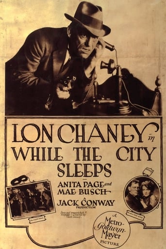 Poster of While the City Sleeps