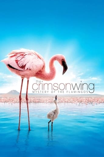 Poster of The Crimson Wing: Mystery of the Flamingos