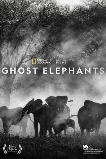 Poster of Ghost Elephants