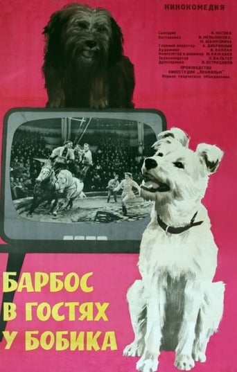 Poster of Барбос в гостях у Бобика