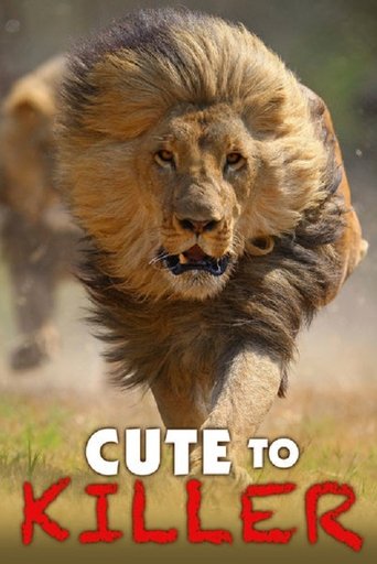 Cute to Killer Poster of Cute to Killer