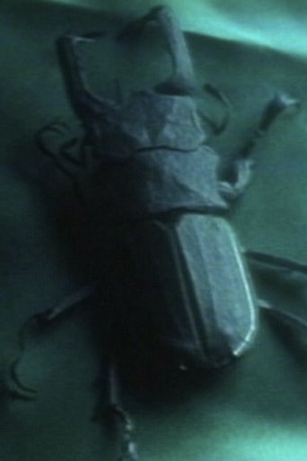 Entomologist Poster of Entomologist