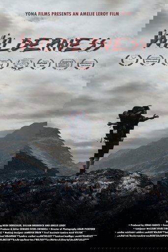 Poster of Wilderness
