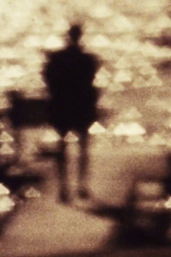 Poster of Elemental Vision or a film for the rest of my life