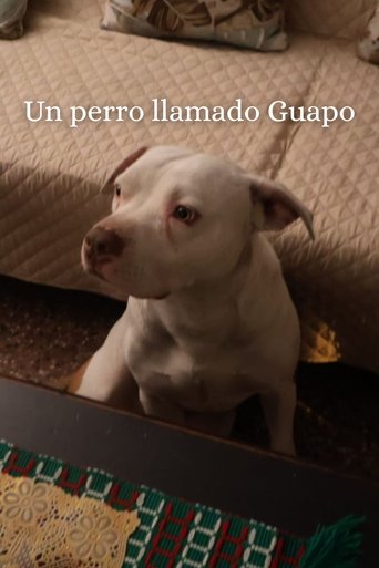 Poster of Un Perro Llamado Guapo