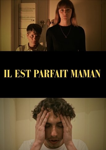Poster of He's perfect mom