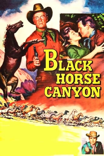 Poster of Black Horse Canyon