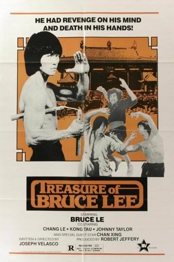 Poster of Treasure of Bruce Le