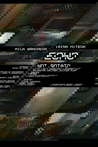 Poster of ECHO