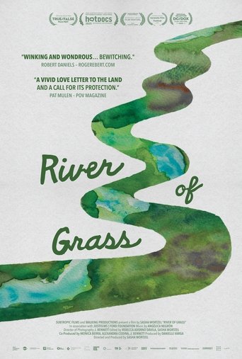 Poster of River of Grass