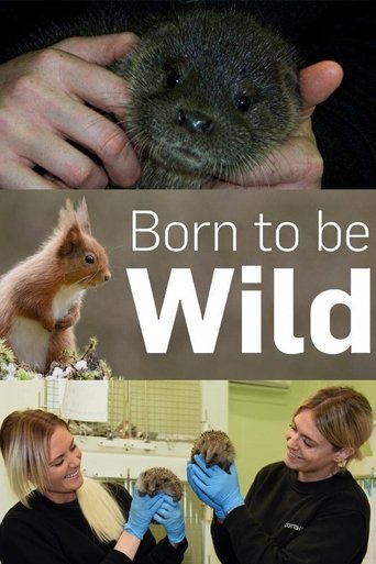 Born to Be Wild Poster of Born to Be Wild