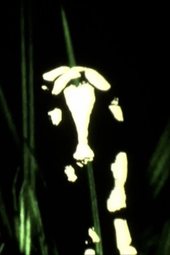 Poster of Vacas