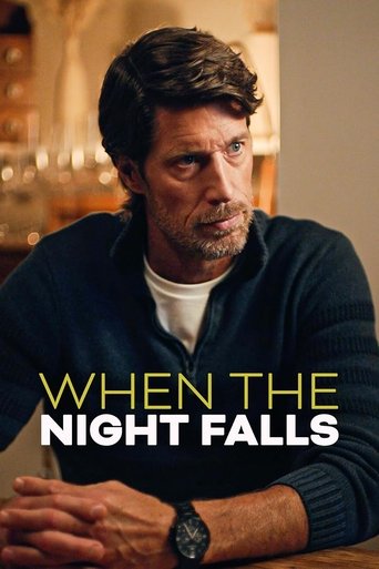 Poster of When the Night Falls
