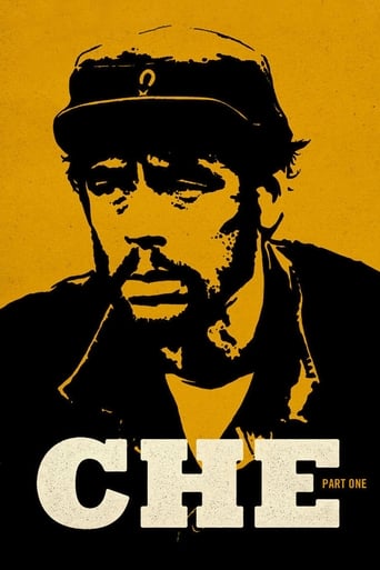 Poster of Che: Part One