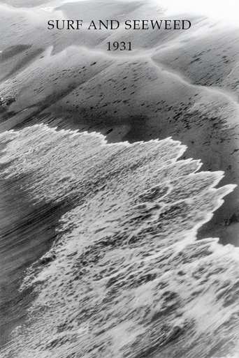 Poster of Surf and Seaweed