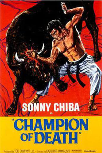 Poster of Karate Bullfighter
