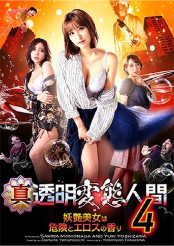 Poster of True Invisible Pervert 4