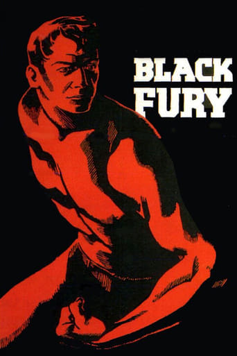 Poster of Black Fury