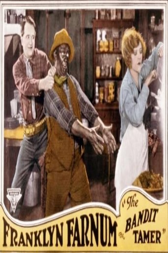 Poster of The Bandit Tamer