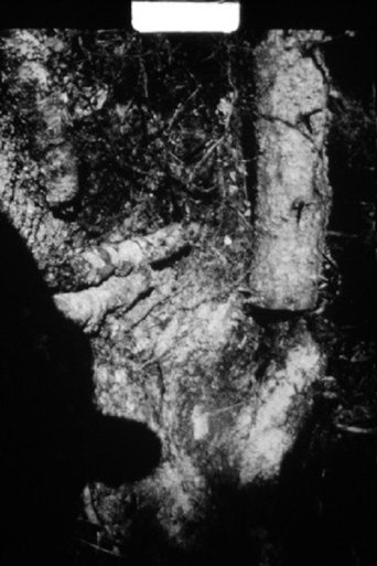 Poster of The Hunter Hunted