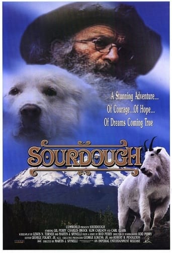 Poster of Sourdough