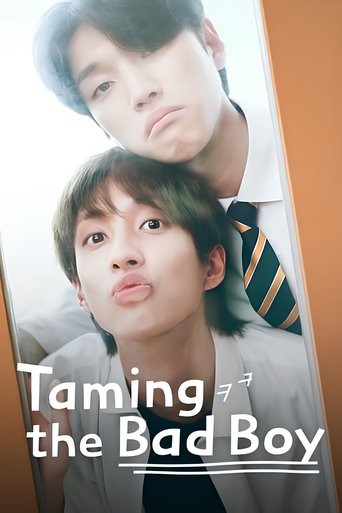 Poster of Taming the Bad Boy