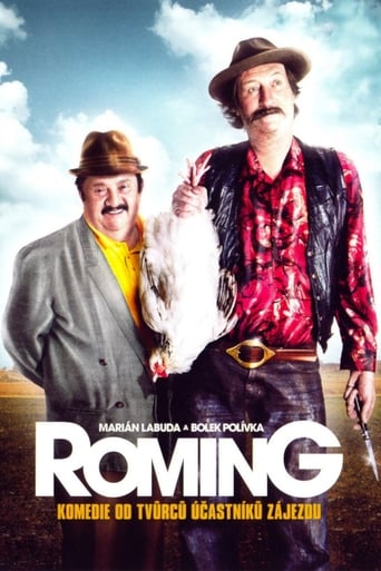 Poster of ROMing