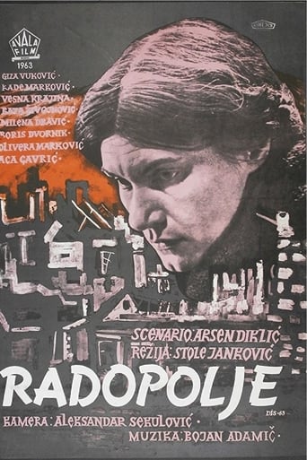 Poster of Radopolje