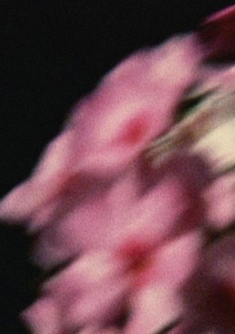 Poster of Five Year Diary, Reel 80: Emily Died (May 14–September 26, 1994)