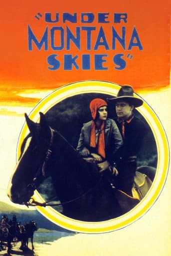 Poster of Under Montana Skies