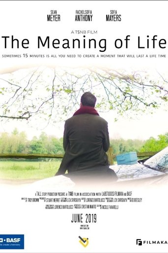 Poster of The Meaning of Life