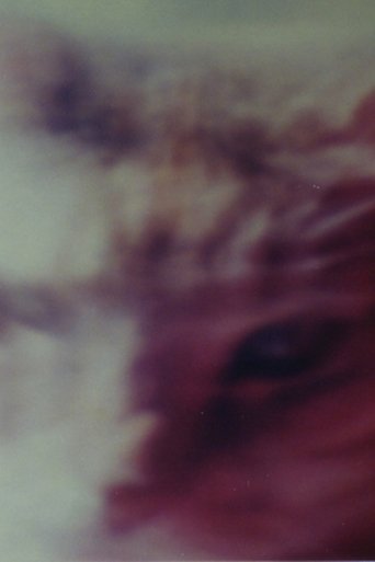Two Cats Poster of Two Cats