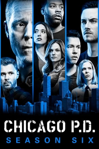 Portrait for Chicago P.D. - Season 6