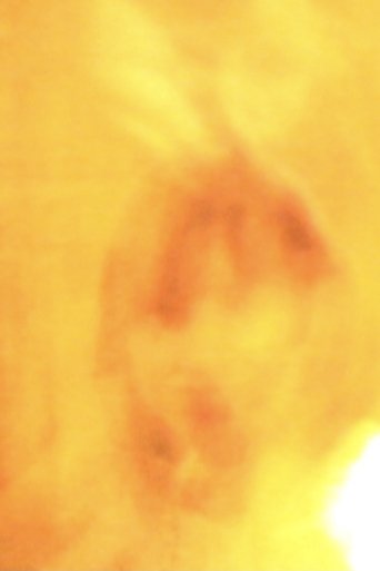 Autumn Poster of Autumn