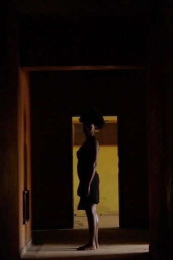 Poster of There Is No Light Inside the Mirror