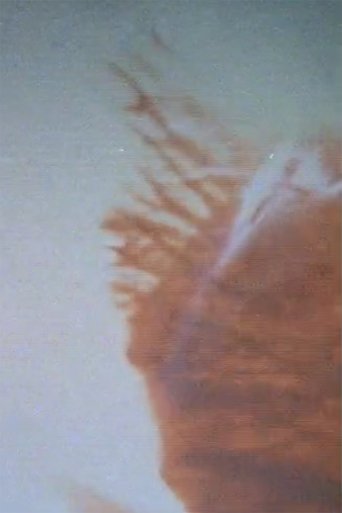 Poster of Little Fissures