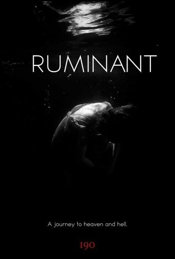Poster of Ruminant