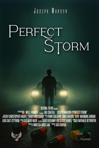 Poster of Perfect Storm