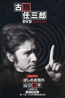 Poster of A Brief Parting