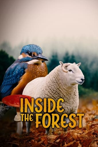 Poster of Inside the Forest Seasons of Wonder