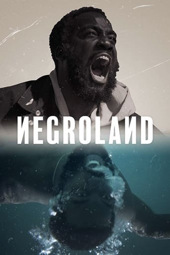 Poster of Negroland