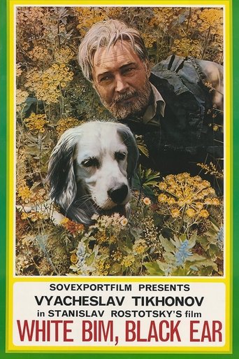 Poster of White Bim Black Ear