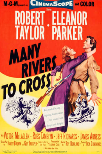 Poster of Many Rivers to Cross