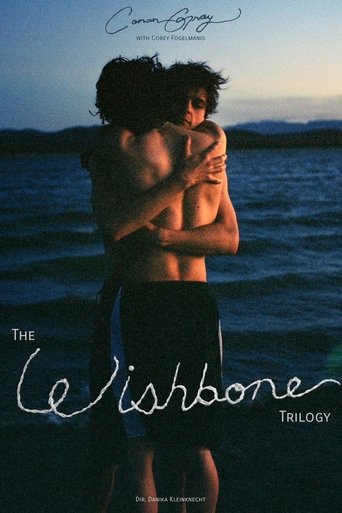 Poster of The Wishbone Trilogy