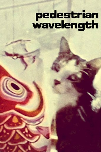 Pedestrian Wavelength Poster of Pedestrian Wavelength