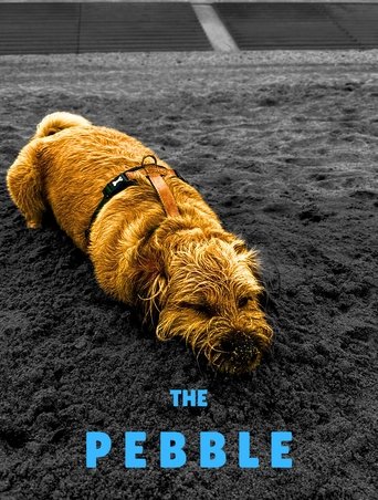 Poster of The Pebble