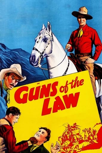 Poster of Guns of the Law