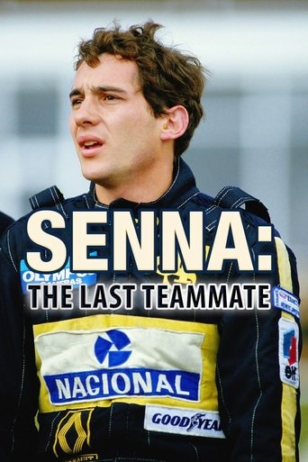 Poster of The Last Teammate