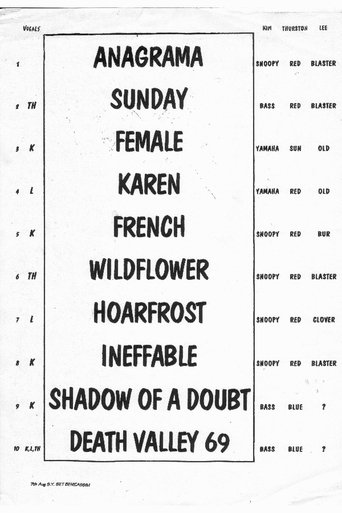 Poster of Sonic Youth: Festival Internacional de Benicàssim