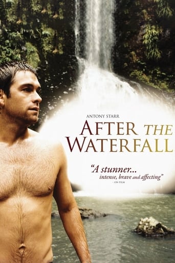 Poster of After the Waterfall